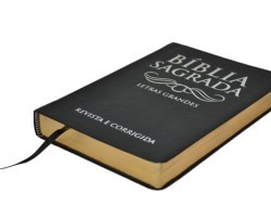 Como Leer La Biblia en un Año